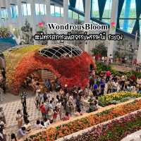 🌺🌸 #แลนด์มาร์คใหม่ระยอง  WondrousBloom 🌷