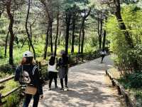 Hike Through The Magic of Hanyangdoseong