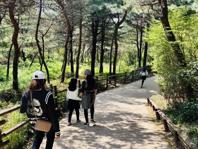 Hike Through The Magic of Hanyangdoseong