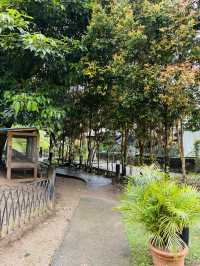 Garden Paths That Lead to Peace