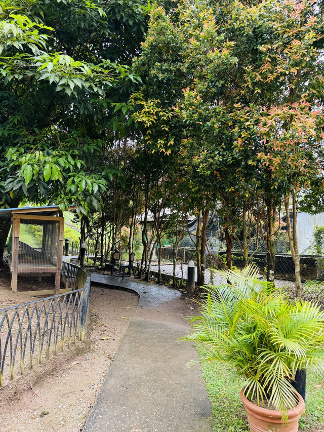 Garden Paths That Lead to Peace
