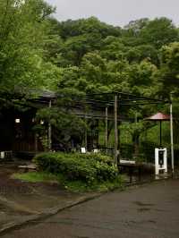 【東京🇯🇵】あいにくの天気でも楽しめる町田散歩Day