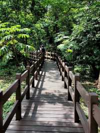 #福山植物園-新北市烏來區