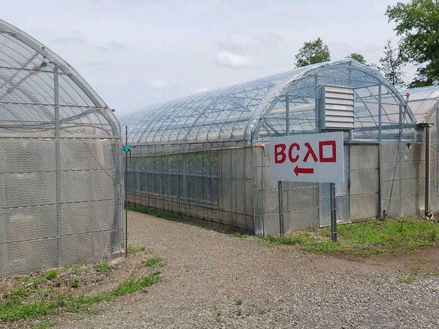Anzu-no-Sato Agri Park, Nagano