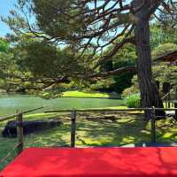 大井中央公園·日式夢幻