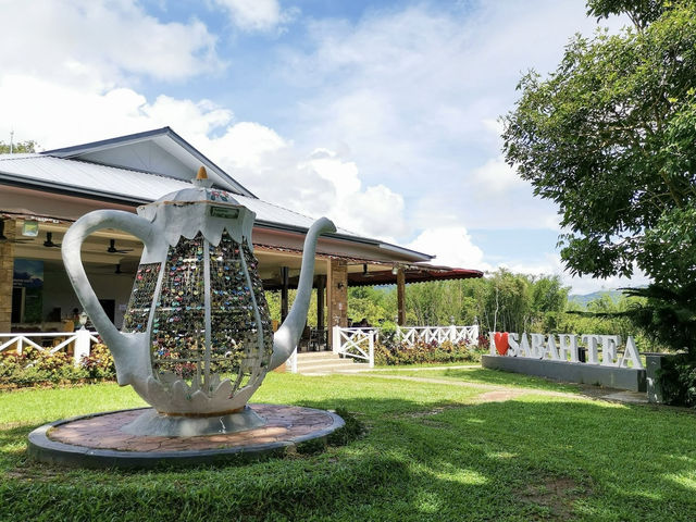 🌿✨ "Sabah Tea Resort: A Misty, Magical Escape in Borneo’s Tea Paradise!" ✨🌿  