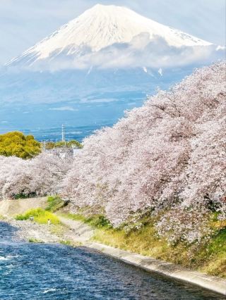 At Ryuganbuchi, Spring Floats Quietly On the River Breeze.