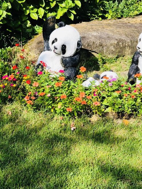Wonye Arts Village: A Tapestry of Horticultural Artistry 