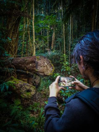 Sherwood Nature Reserve: A Mini Jungle Adventure