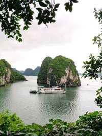 🚣‍♂️🌿 Into the Wild: My Adventure Cruise in Halong Bay! 🌿🚣‍♂️