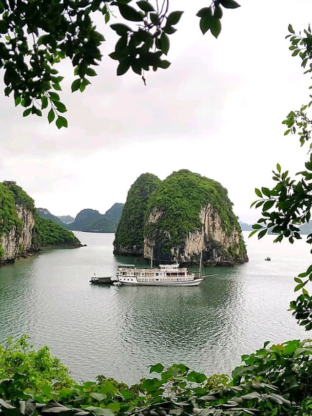 🚣‍♂️🌿 Into the Wild: My Adventure Cruise in Halong Bay! 🌿🚣‍♂️
