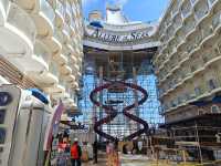 "Allure of the Seas: The Floating Party Palace🎉🚢