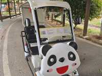 Wuhan Trip