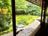 🇯🇵【京都】特別拝観期間だけ拝観できる！瑠璃光院！