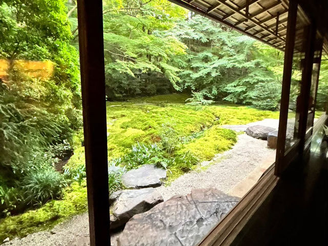 🇯🇵【京都】特別拝観期間だけ拝観できる！瑠璃光院！