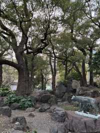 【黄昏時の日比谷公園と日比谷松本楼を歩いて】