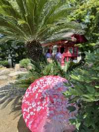 【栃木】紫陽花と孔雀、池に浮かぶ紫陽花 ライトアップも・・