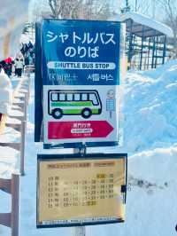 【北海道】旭山動物園：冬日限定超萌企鵝巡遊