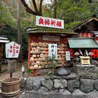 🇯🇵【京都】パワースポット！野宮神社！良縁、子宝、学問の神様♪(^^)