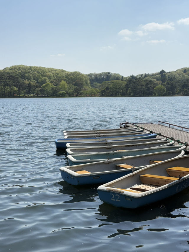 南湖公園でのんびりお散歩】湖に浮かぶボートが絵になる風景