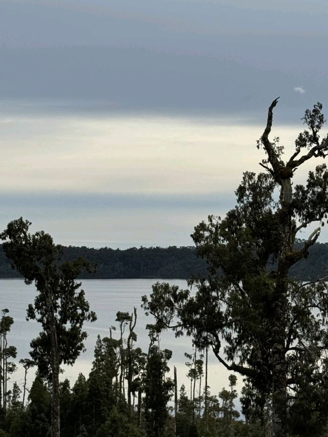🇳🇿鈕西蘭 西海岸 Hokitika：海邊、森林、樹頂、藍河