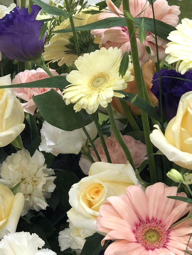 실내 데이트 추천: 양재 AT센터 꽃박람회에서 만나는 봄의 향연 🌸