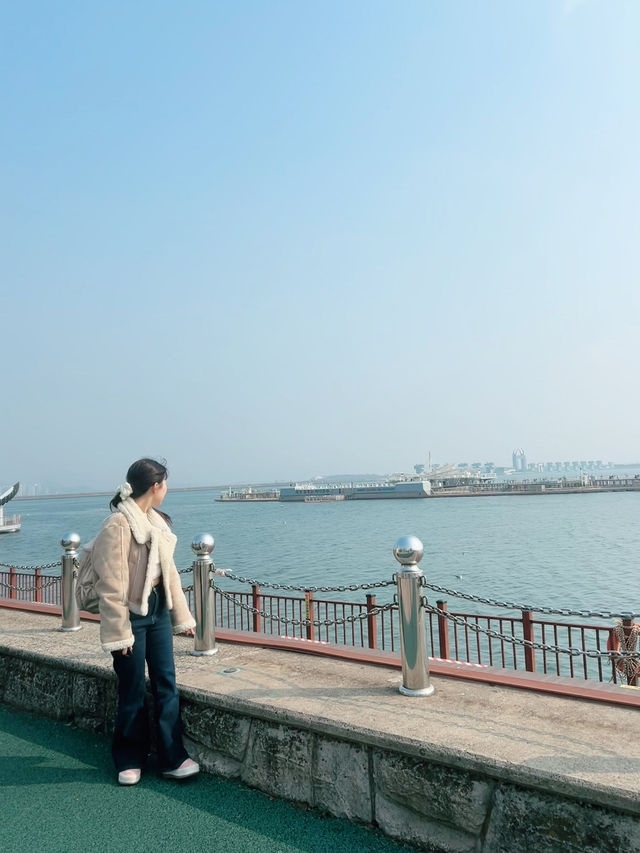바다와 갈매기가 반겨주는 목포 평화광장, 가족여행지로 딱!🤍☀️
