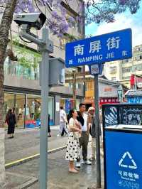 COLOURFUL PEACOCKS OF NANPING PEDESTRIAN STREET