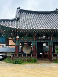 🪷부처님 오신날에 여긴 꼭 가야죠!🪷