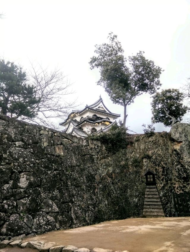 #彥根城-日本滋賀縣彥根市