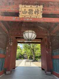 A Peaceful Spring Day at Gokokuji Temple