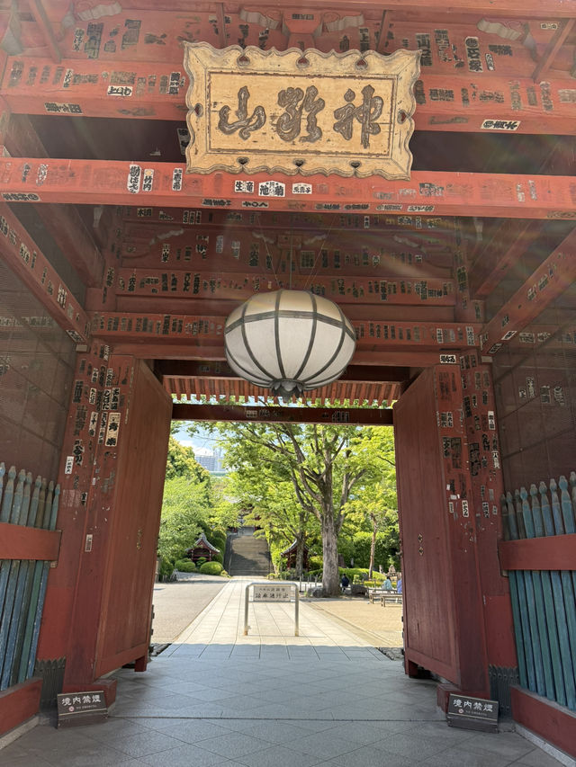 A Peaceful Spring Day at Gokokuji Temple
