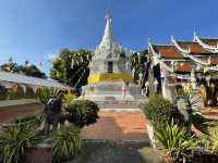 วัดพระบรมธาตุวรวิหาร