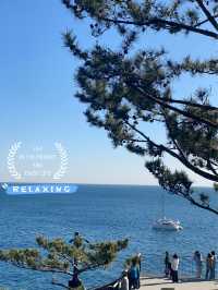 Jeju Daepo Jusangjeollidae: Coastal Columns of Wonder