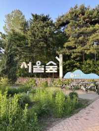 요즘 같이 푸릇푸릇한 날 가족 나들이하기 좋은 서울숲🌳