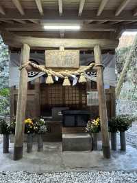 【熊本旅行】竹林に囲まれた知る人ぞ知るパワースポット神社⛩