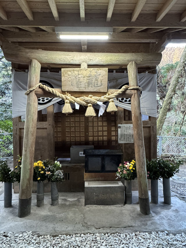 【熊本旅行】竹林に囲まれた知る人ぞ知るパワースポット神社⛩