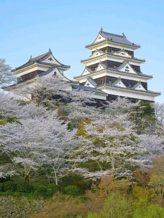 Ozu Castle