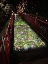 A Slow Getaway in Jozankei – Steam, Silence & Starry Nights
