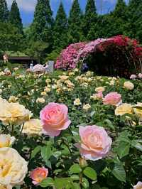 Incheon: Korea’s Coastal Gateway in Full Bloom
