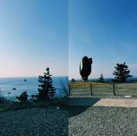 울릉도 전망대에서 바다 감상 후, 카페 울라에서의 여유로운 시간