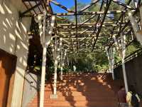 Classroom Under the Cherry Trees — Neihu Primary School, Nantou