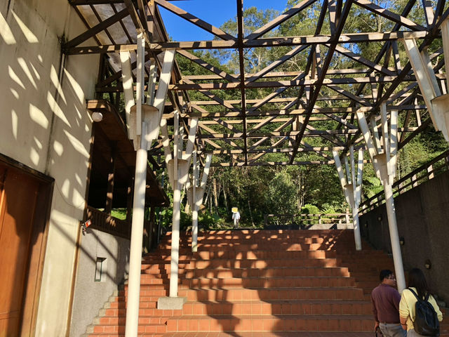 Classroom Under the Cherry Trees — Neihu Primary School, Nantou