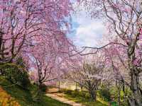 Chill Spring with a Historic Twist