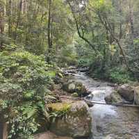 Hiking Feels, Sabah. Worth the Sweat