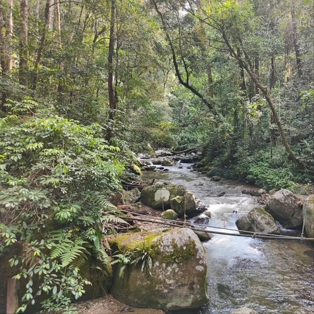 Hiking Feels, Sabah. Worth the Sweat