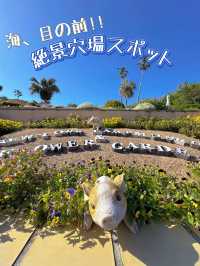 【伊豆高原】絶景穴場スポットで映える