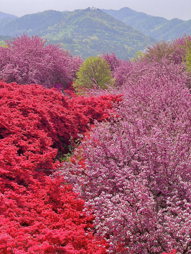 전주 1빅 2일 여행 🩵