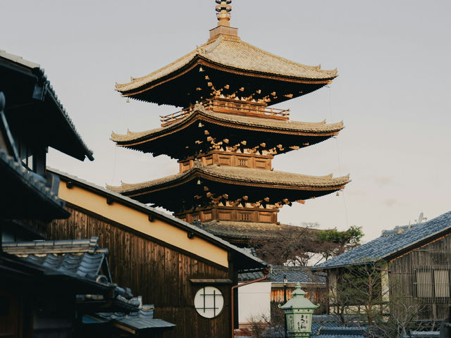 Japan – The Taste of Spring in Every Petal