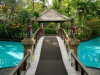 Best Resort Ever